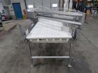 Belt Conveyor With Side Reject – Stainless Steel, Pneumatic Gate